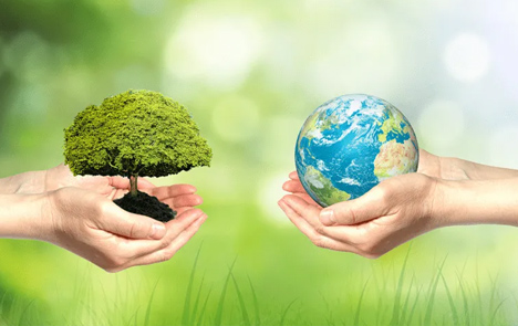 绿色低碳科技创新赋能碳达峰碳中和